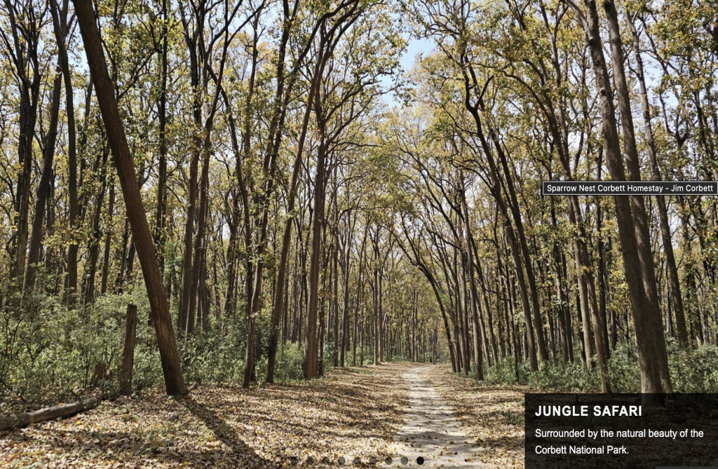 Sparrow Nest Homestay