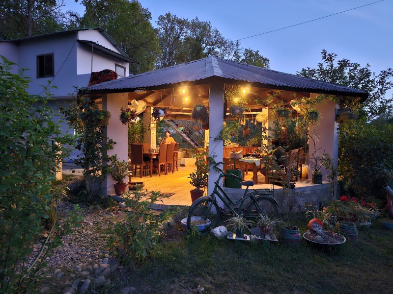 Sparrow Nest Homestay