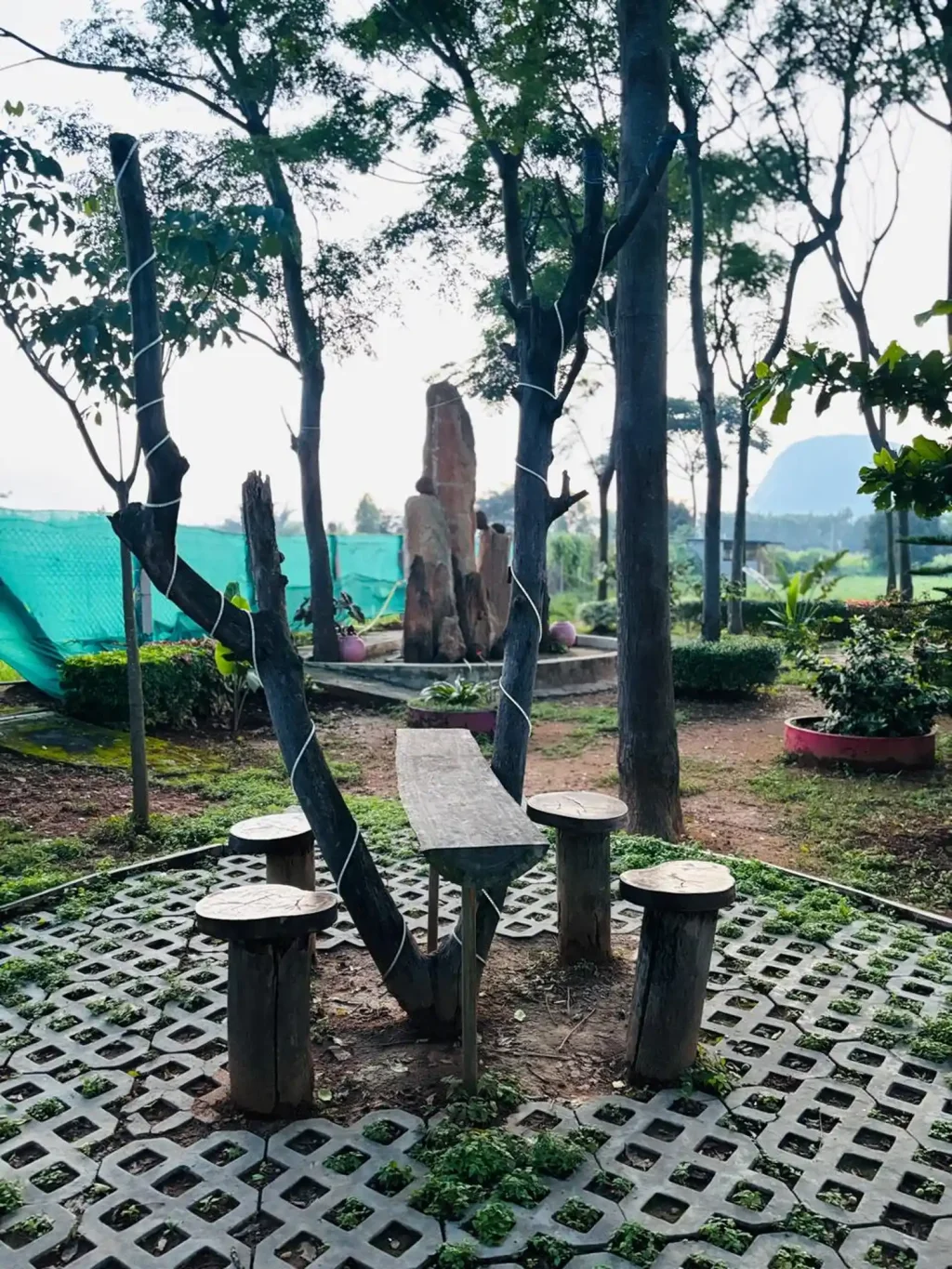 Nemmadi Farmstay